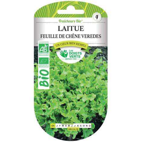 Semillas de lechuga hoja de roble verdes BIO Los Dedos Verdes