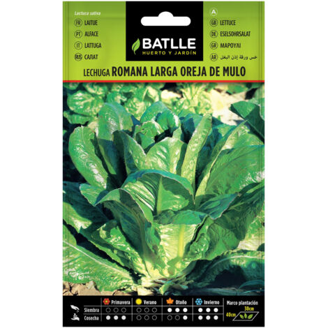 Semillas de Lechuga Larga Oreja de Mulo