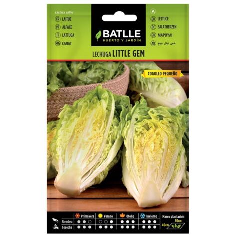 Semillas de Lechuga Little Gem Cogollo sobre