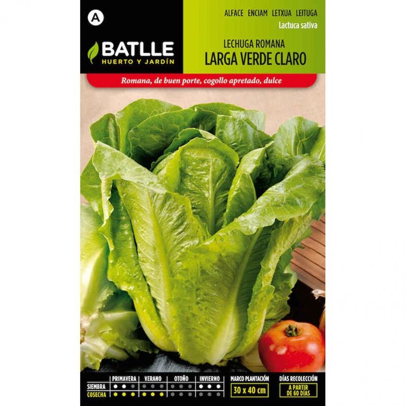 

Plantawa Semillas de Lechuga Romana Larga Verde Claro 6 gr para Siembra Anual Hortaliza para Cultivar - Battle