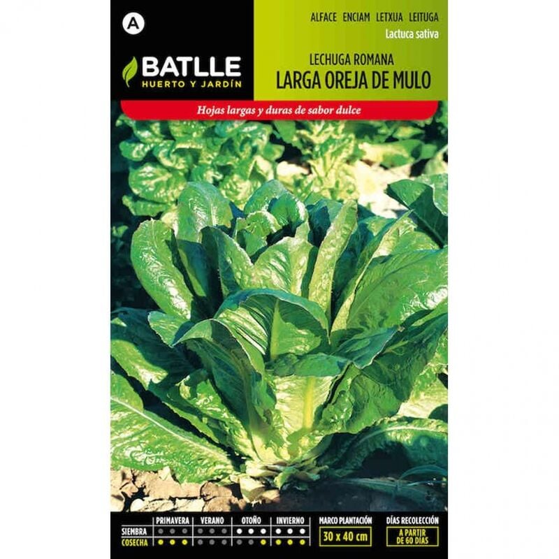 

Plantawa Semillas de Lechuga Romana Larga Oreja de Mulo 2 gr para Siembra Otoño Invierno Hortaliza para Cultivar - Battle