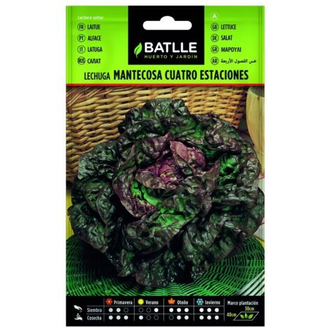 Semillas de Lechuga Mantecosa cuatro estaciones sobre