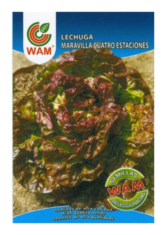 

Semillas de Lechuga Maravilla 4 estaciones Sobre 6 gr. - WAM