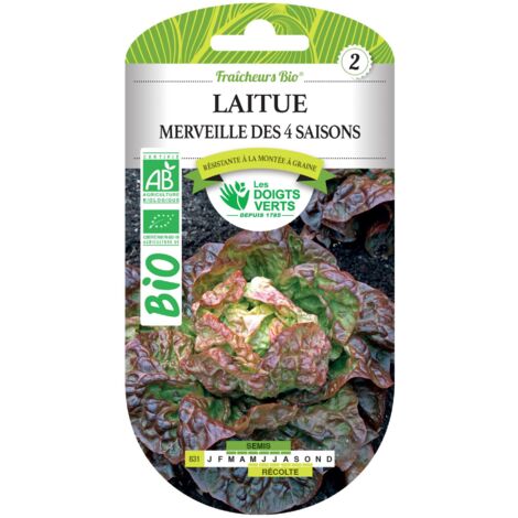 Semillas de lechuga maravilla de las 4 estaciones BIO Los Dedos Verdes