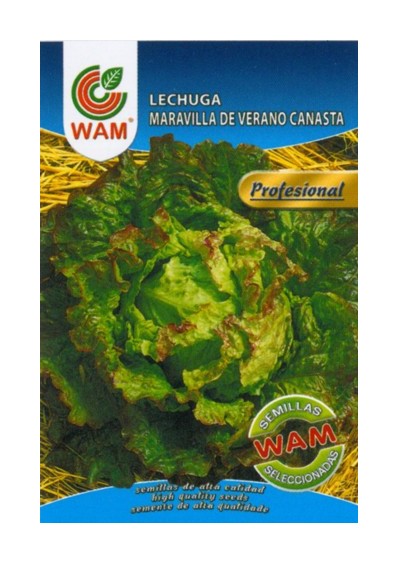 

Semillas de Lechuga Maravilla de Verano Canasta Sobre 6 gr. - WAM