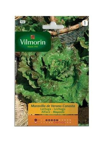 

Semillas de LECHUGA MARAVILLA DE VERANO 7g - Vilmorin