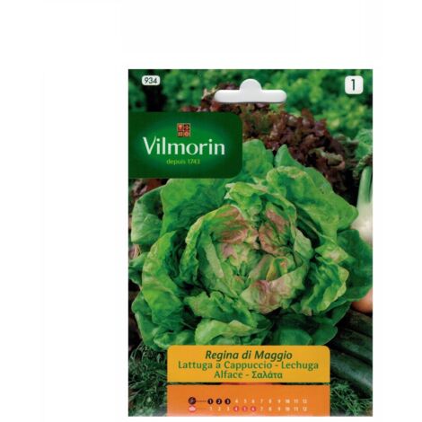 Semillas de LECHUGA REINA DE MAYO Vilmorin 7g