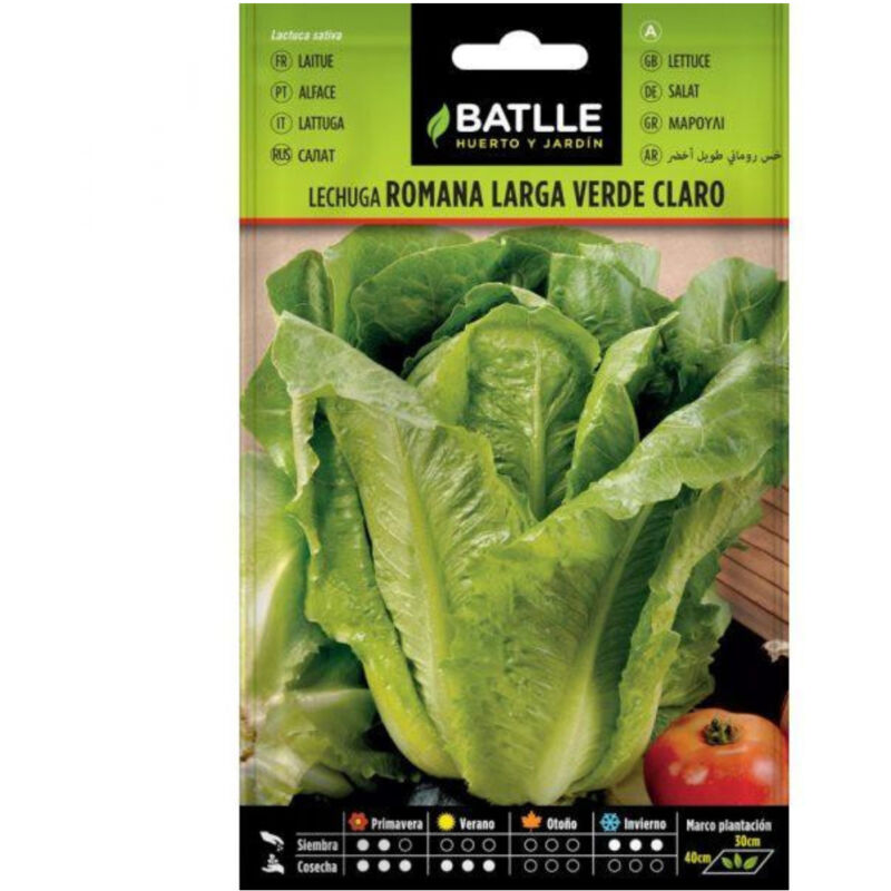

Semillas de Lechuga Romana Larga Verde Claro - Verde