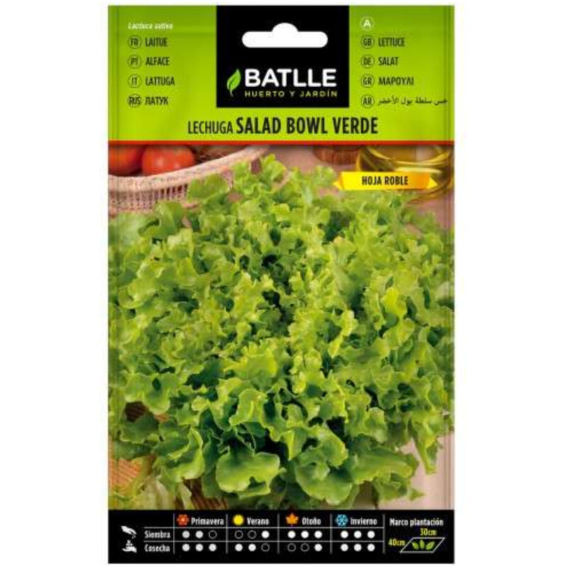 

Semillas de Lechuga Salad Bowl Verde - Verde