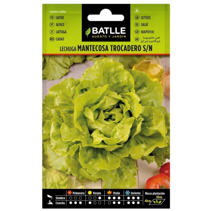 

Semillas de Lechuga Trocadero