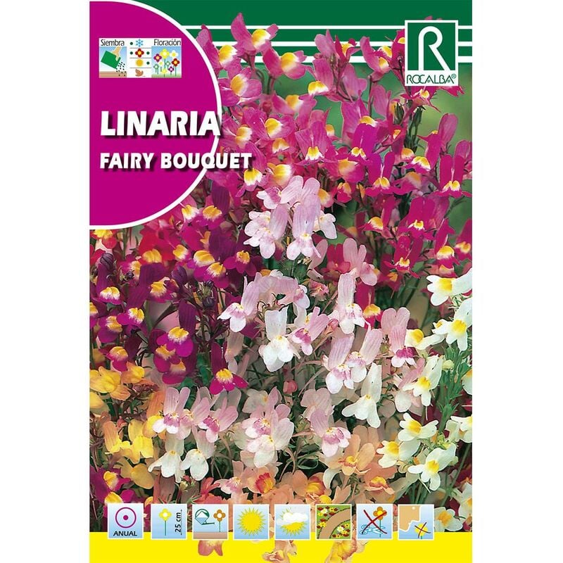 

Semillas de Linaria fairy bouquet, variada