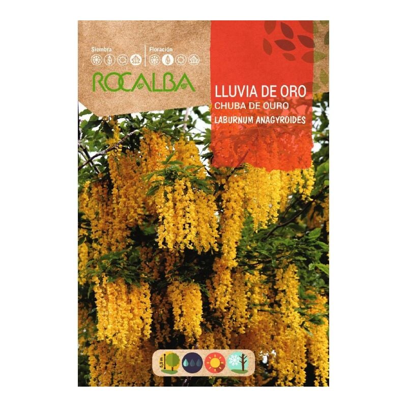 

Lluvia De Oro - Sobre De Semillas 1 Gr.