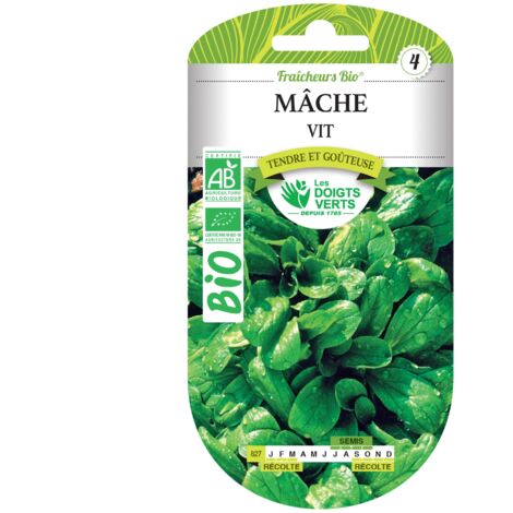 Semillas de Mâche BIO Las Dedos Verdes