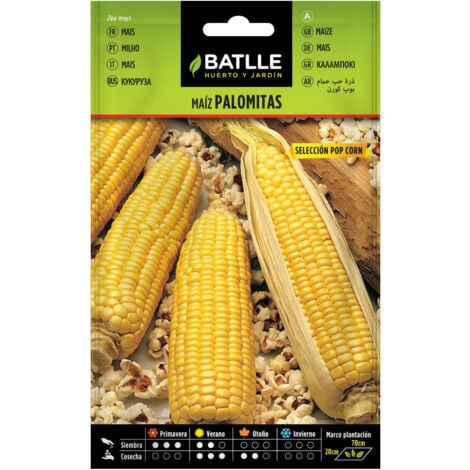 Semillas de Maíz palomitas Pop Corn