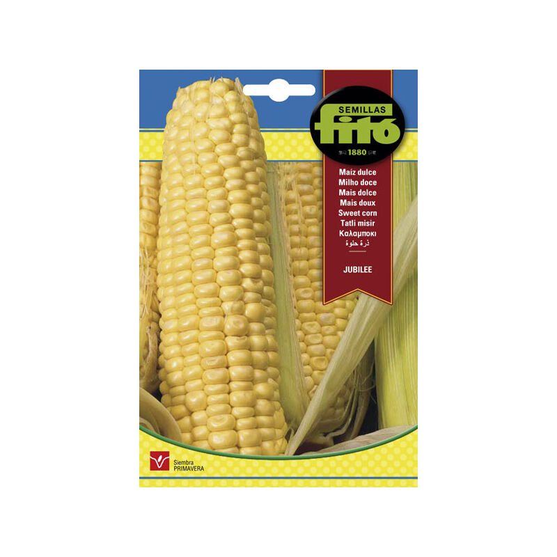 

Plantawa Semillas de Maíz Dulce 10 gr para Siembra en Primavera Hortaliza para Cultivar- Fitó