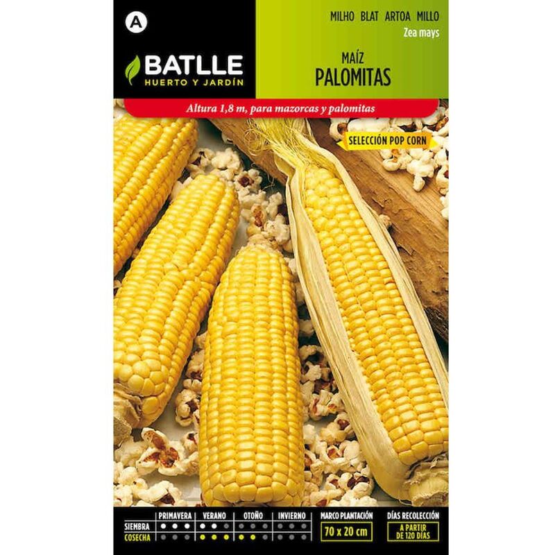 

Plantawa Semillas de Maíz Palomitas 12 gr para Siembra Primavera Ornamental para Cultivar - Battle