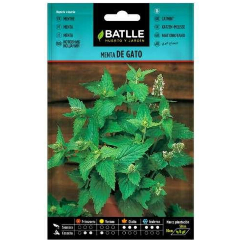 

Semillas de Menta de Gato Nepeta