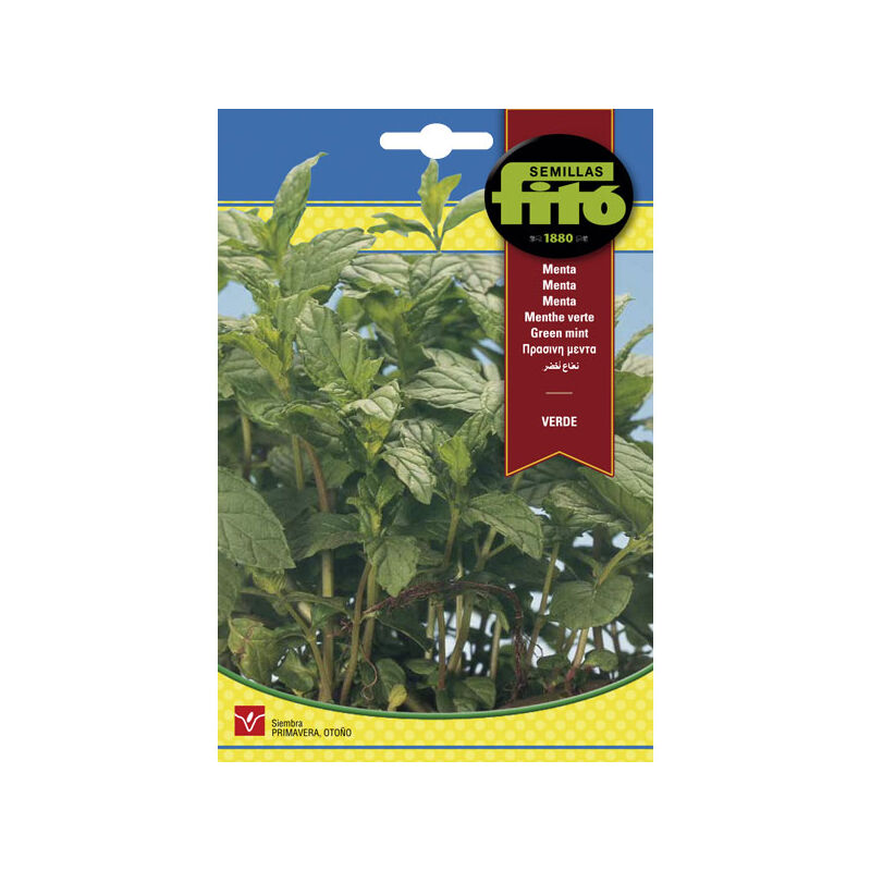 

Plantawa Semillas de Menta Verde 0.2 gr para Siembra en Primavera Planta Aromática para Cultivar - Fitó