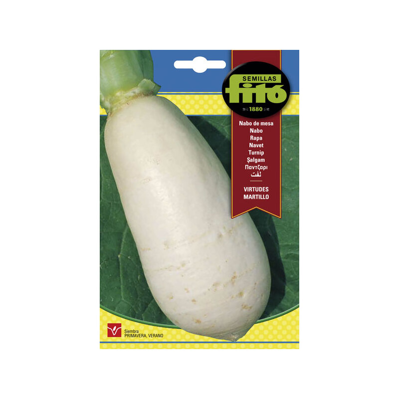 

Plantawa Semillas de Nabo Virtudes Martillo 20 gr para Siembra en Primavera Hortaliza para Cultivar - Fitó