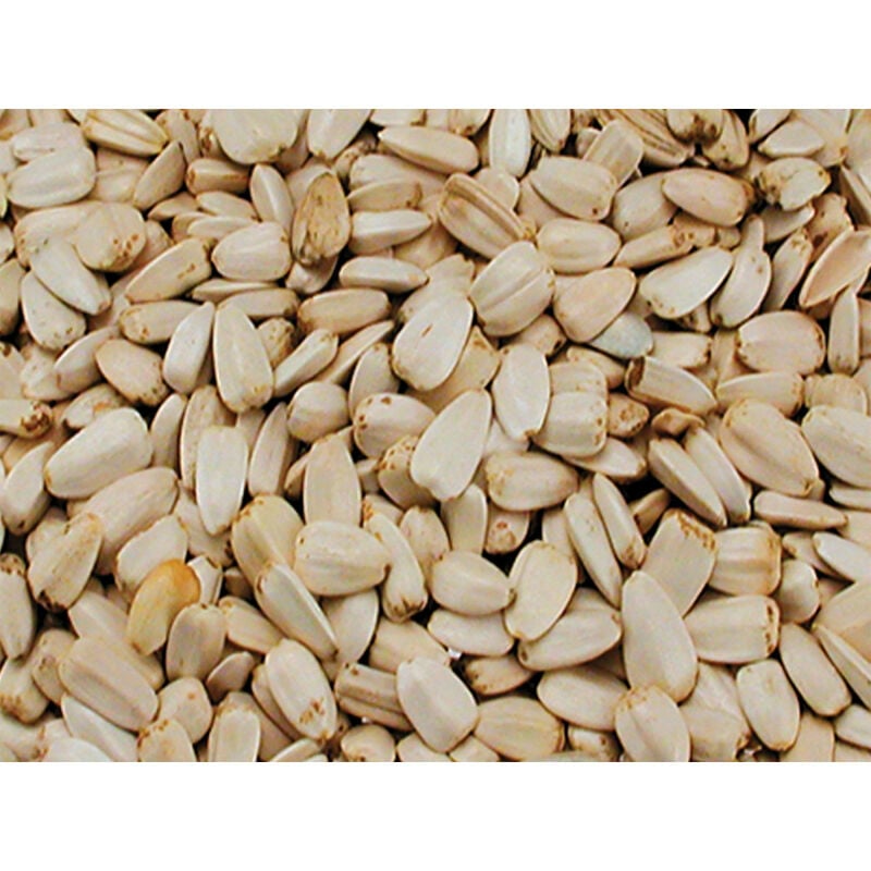 

Semillas de girasol blancas grandes, 500 g.