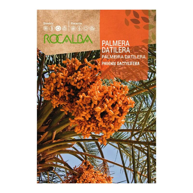 

Palmera Datilera - Sobre De Semillas 6G