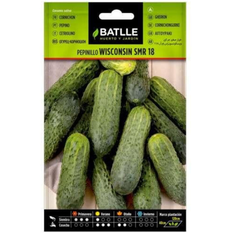 

Semillas de Pepinillo Wisconsin SMR 18