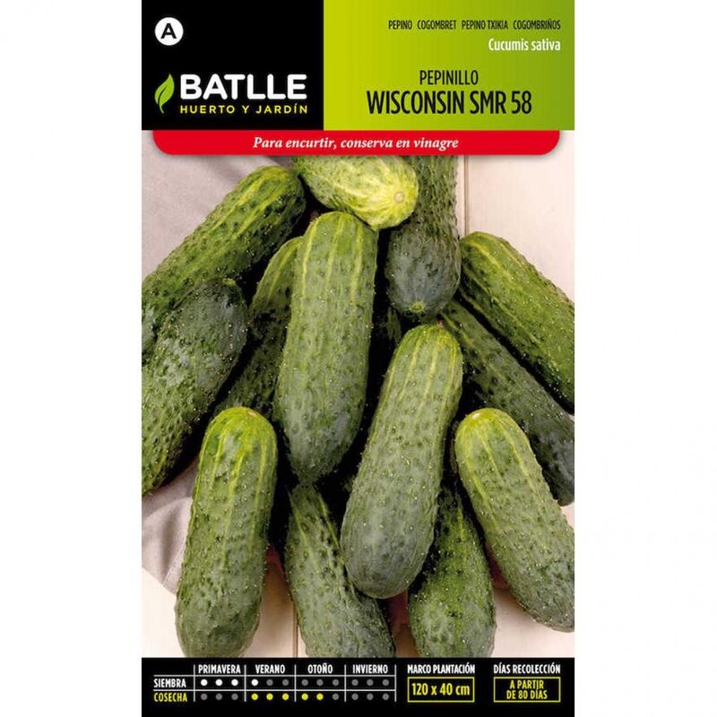 

Plantawa Semillas de Pepinillo Wisconsin 6 gr para Siembra Primavera Hortaliza para Cultivar - Battle