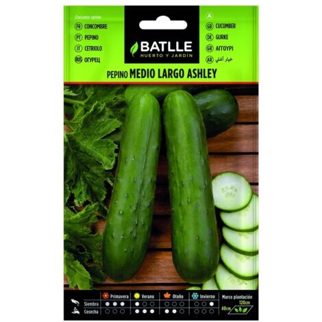 Semillas de Pepino Ashley Medio Largo sobre