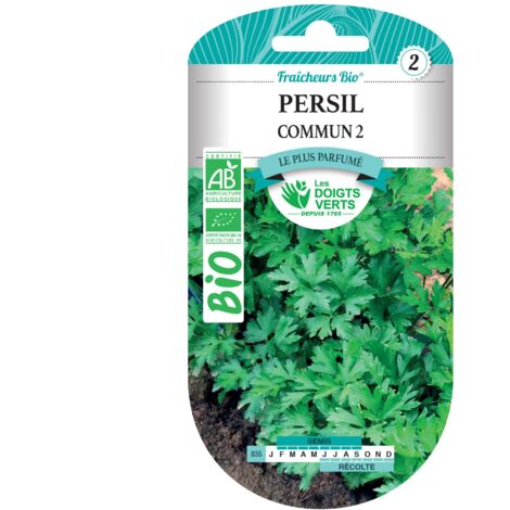 Semillas de perejil común 2 BIO Los Dedos Verdes