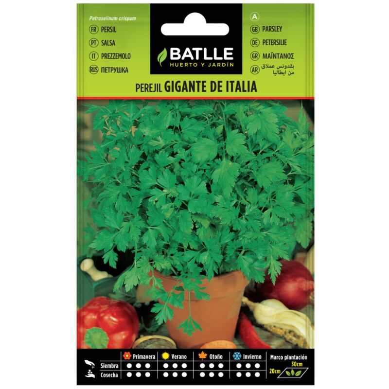 

Semillas de Perejil gigante de Italia