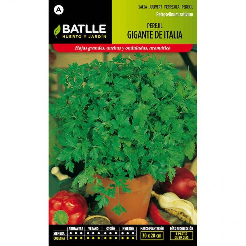 

Plantawa Semillas de Perejil Gigante de Italia 15 gr para Siembra Anual Planta Aromática para Cultivar - Battle