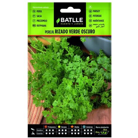 Semillas de Perejil Rizado Verde Oscuro sobre