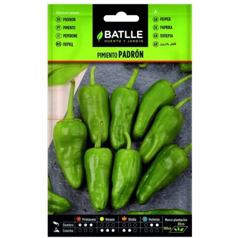Semillas de Pimiento Padron sobre