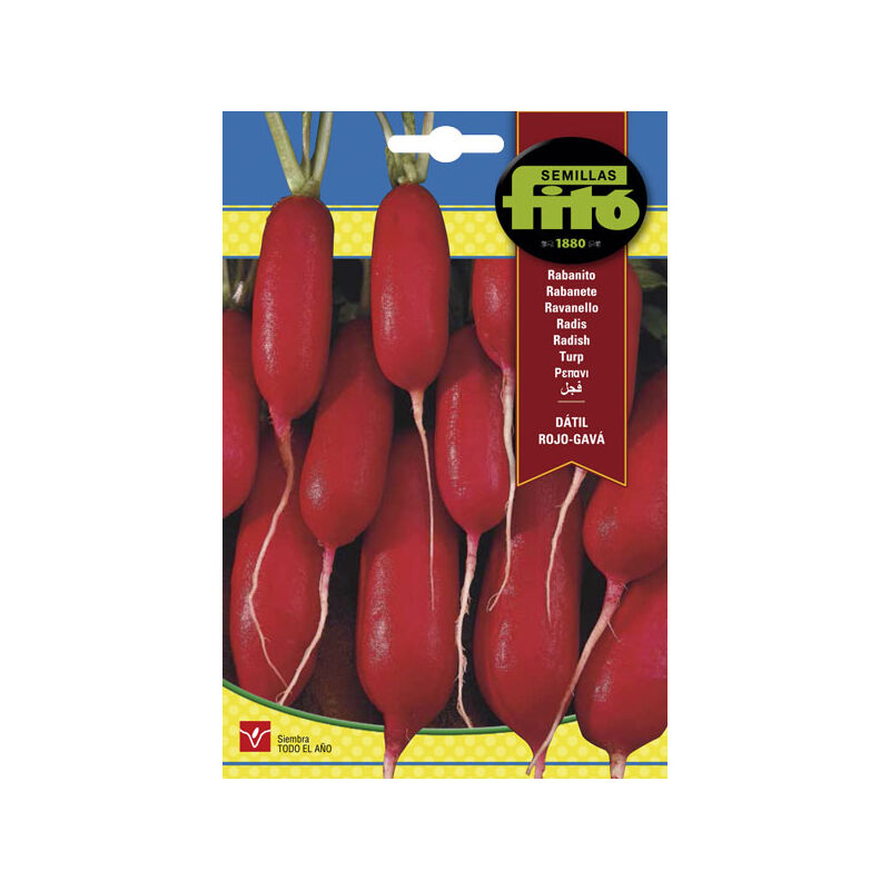 

Plantawa Semillas de Rabanito Dátil Rojo 20 gr para Siembra Anual Hortaliza para Cultivar - Fitó