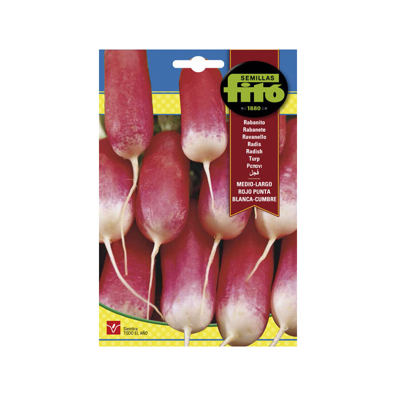

Plantawa Semillas de Rabanito Medio Largo Rojo Punta Blanca 20 gr para Siembra Anual Hortaliza para Cultivar - Fitó