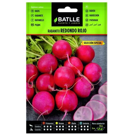 Semillas de Rabanito Red. Rojo Selección Especial sobre
