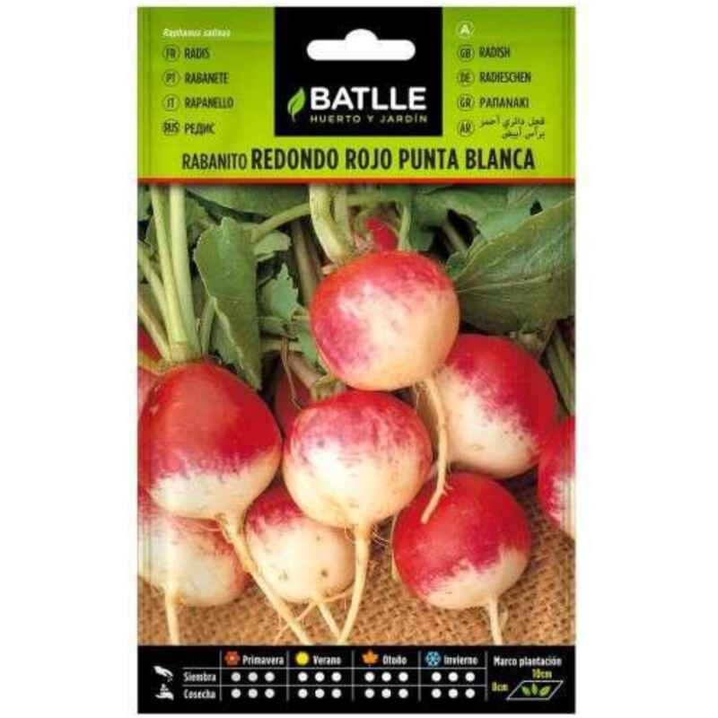 

Semillas de Rabanito redondo rojo punta blanca