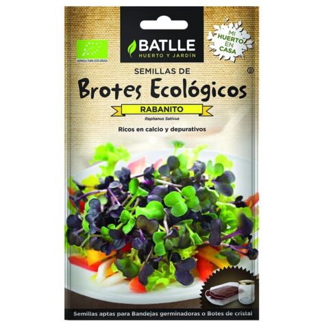 Semillas de rabanito sagno para brotes ecológicos