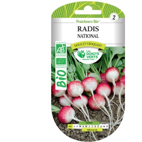 Semillas de rábano orgánicas Les Doigts Verts