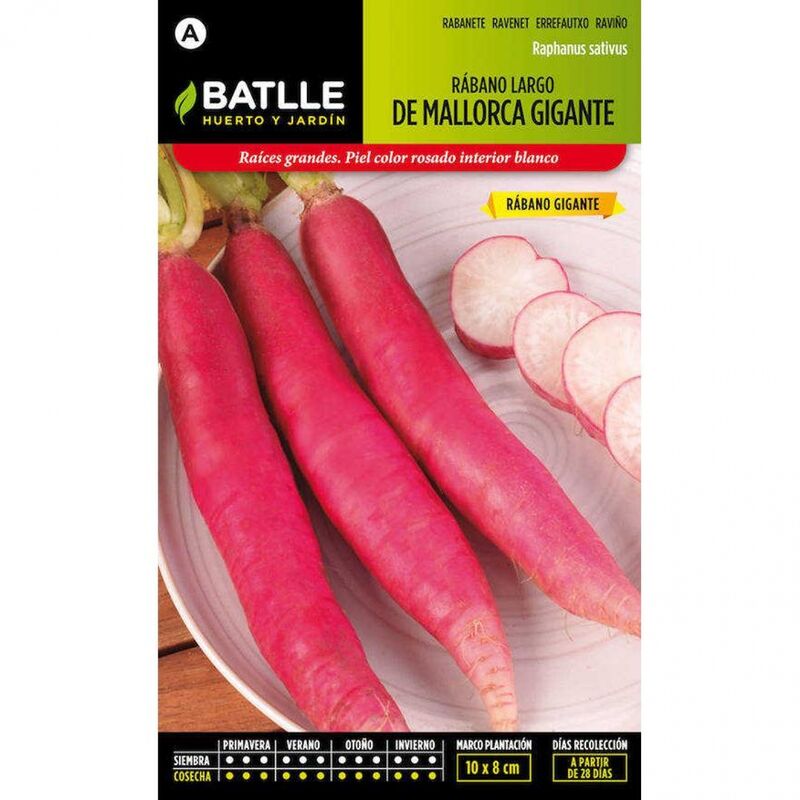 

Plantawa Semillas de Rábano Largo de Mallorca Gigante 15 gr para Siembra Anual Hortaliza para Cultivar - Battle
