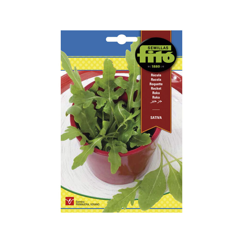 

Plantawa Semillas de Rúcula Sativa 5 gr para Siembra en Primavera Planta Aromática para Cultivar - Fitó
