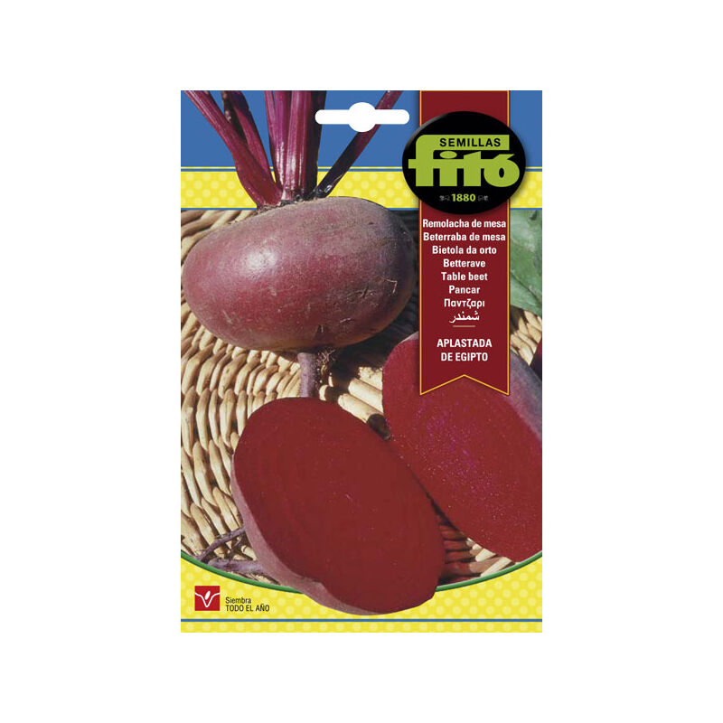 

Plantawa Semillas de Remolacha Aplastada de Egipto 13 gr para Siembra Anual Hortaliza para Cultivar - Fitó