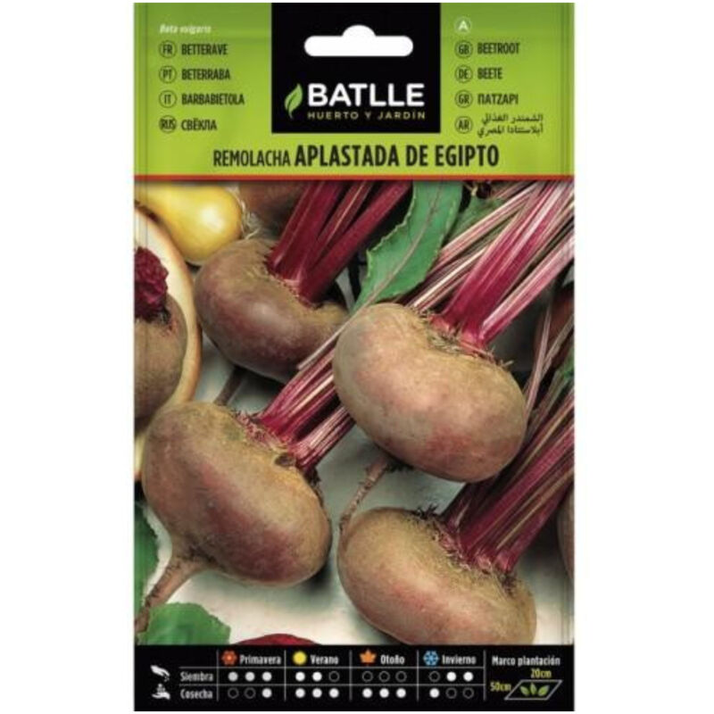 

Semillas de Remolacha de mesa Aplastada de Egipto