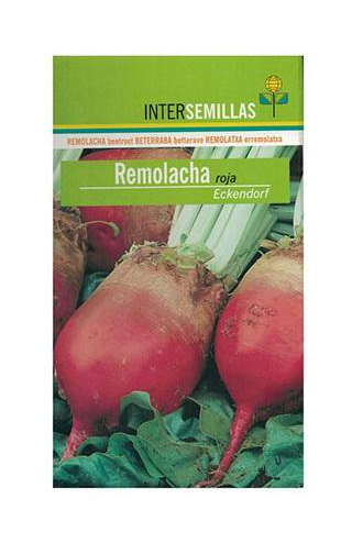 

Semillas de REMOLACHA FORRAJERA ROJA 250g - Intersemillas