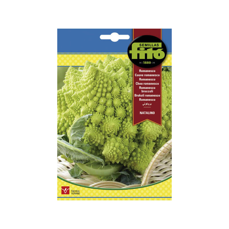 

Plantawa Semillas de Romanesco Natalino 4 gr para Siembra en Verano Hortaliza para Cultivar - Fitó