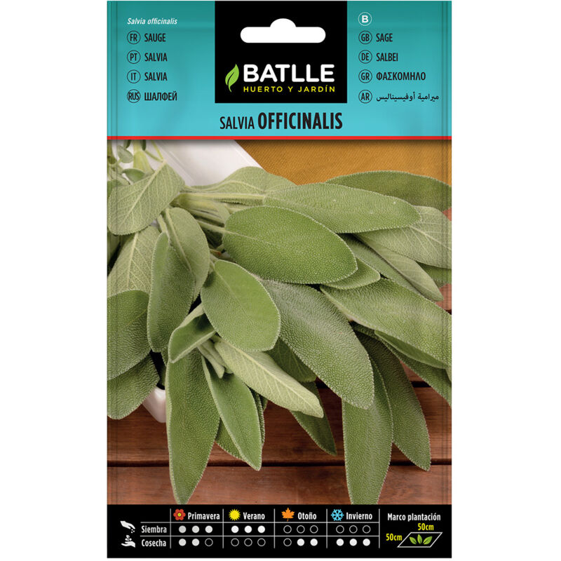 

Semillas de Salvia officinalis
