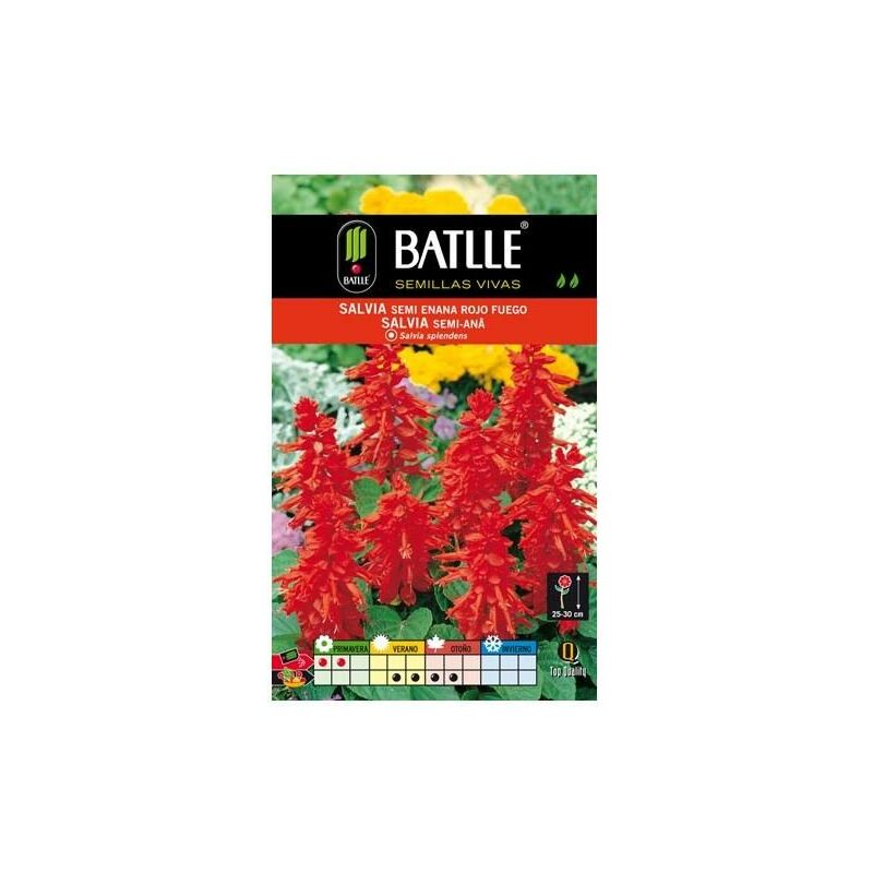 

Semillas de Salvia semi-enana compacta Rojo Fuego