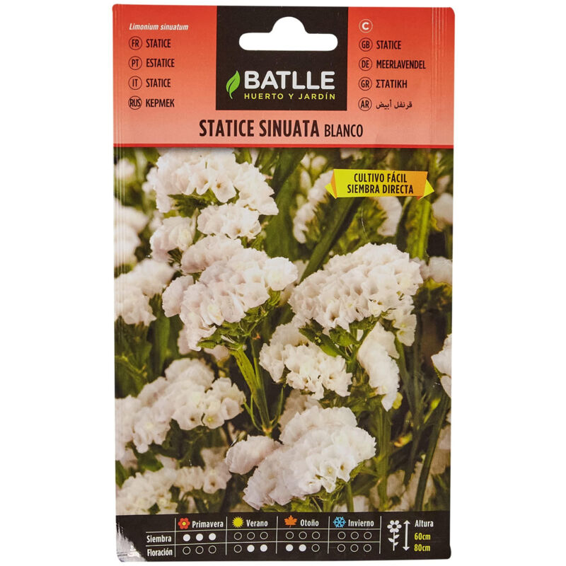 

Semillas de Statice blanco