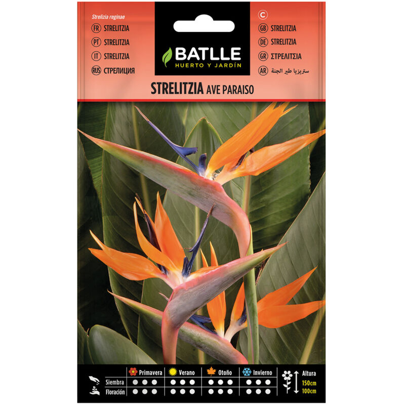

Semillas de Strelitzia Ave del paraíso