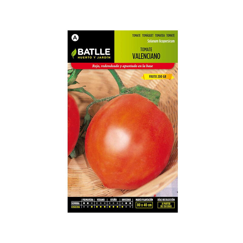 

Plantawa Semillas de Tomate Valenciano 2 gr para Siembra invierno Hortaliza para Cultivar - Battle